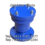 Air Valve Single