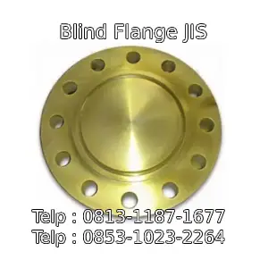Blind Flange JIS
