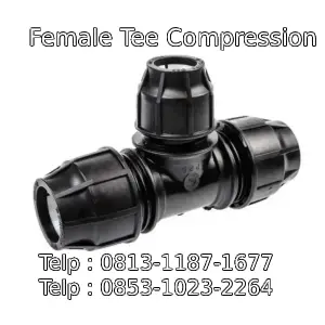 Female Tee Compression