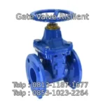 Gate Valve Risilient