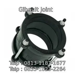 Gibault Joint