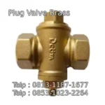 Plug Valve Brass