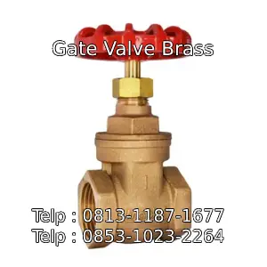 Gate Valve Brass
