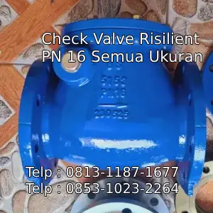 Check Valve Risilient PN 16 Semua Ukuran